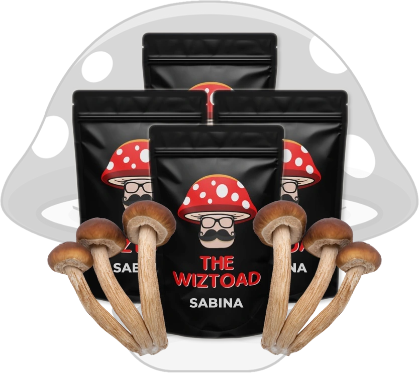Huautla magic mushroom