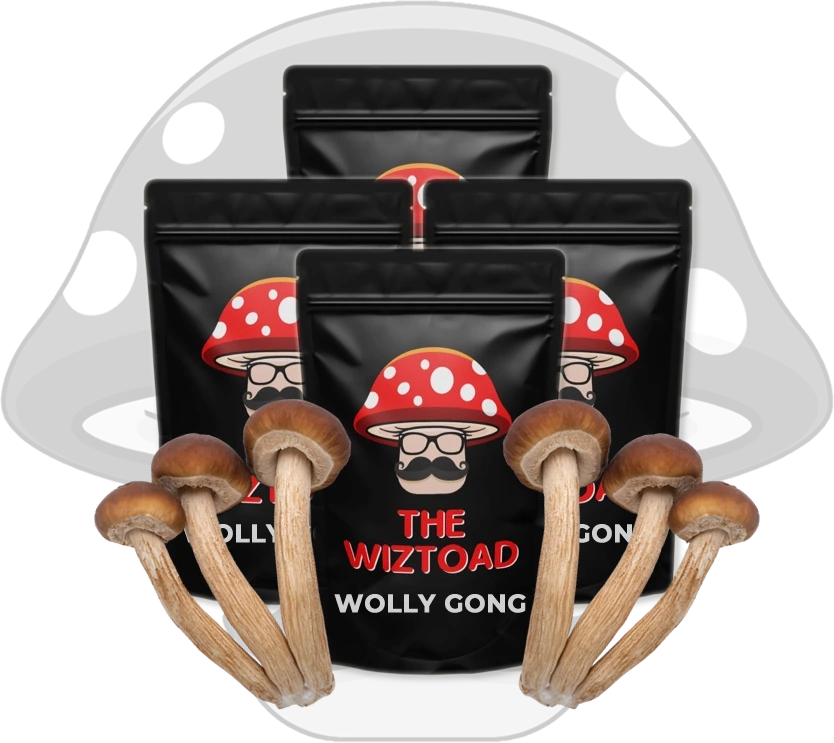 magic mushrooms Toronto Wally Gong