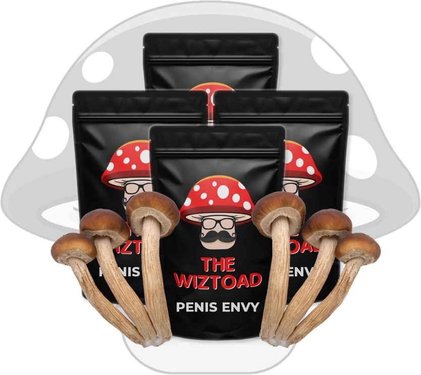 magic mushrooms online Penis Envy